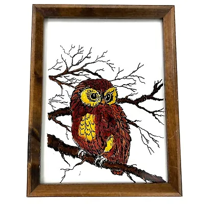 Owl Painting Vintage 60’s Painted Art Framed Reverse Glass On Tree Branch • $34.97