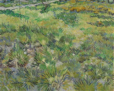 Hand-painted Oil Painting Vincent Van Gogh Long Grass With Butterflies1890 • $99.60