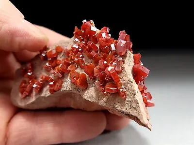 Bright Cherry Red Vanadinite Crystal Cluster #52 • $85