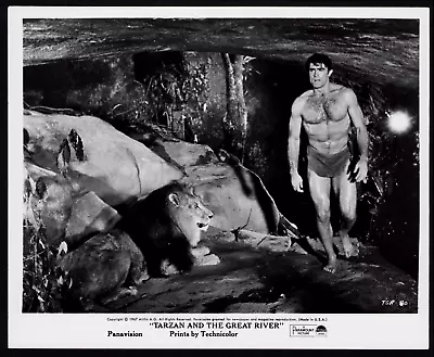 TARZAN & THE GREAT RIVER Original Movie Press Photo Hunky Mike Henry Adventure • $19.99