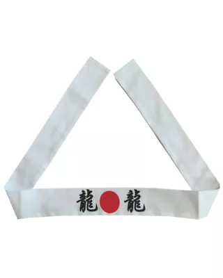 Japanese Headband Hachimaki Martial Arts Sports JAPANESE DRAGON Headband NEW • $9.90