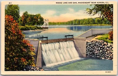 Vtg Moose Lake And Dam Mooseheart Near Aurora Illinois Postcard • $10.64