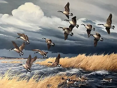Vintage Maynard Reece Dark Sky Canada Geese.. Artist Proof/950. Image 30” By 20” • $275