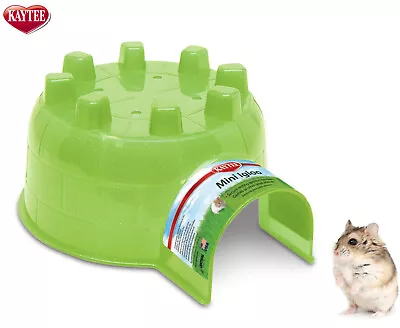 Kaytee Mini Igloo Small Animal Dwarf Hamster Gerbil Cosy Hideout House • £9.99