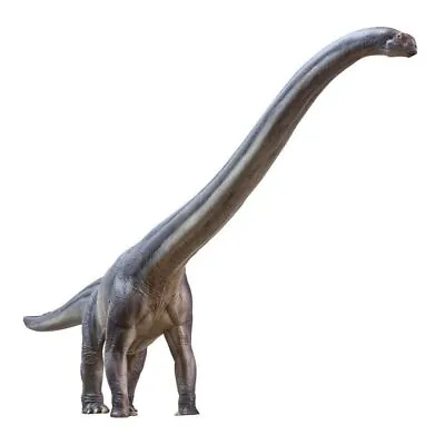 Pnso 1:45 Mamenchisaurus Er-ma Figure Sauropoda Model Dinosaur Figure Animal Toy • $79.99