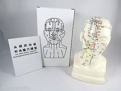 Professional Educational Acupuncture 8  Head 20cm Anatomy Medical Model IT-094 • $24.95