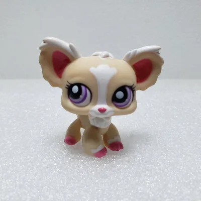 LPS Pet Shop Toys #1892~Chihuahua~Beige Cream White~Purple Dot Eyes Puppy Dog • £10.79