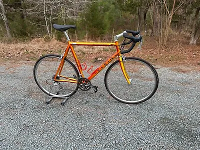 Klein  Quantum Race  Racing Bicycle W/ Campagnolo Chorus Groupset • $1499