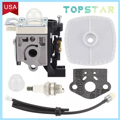 Weed Eater Edger Carburetor Kit With Air Filter  For Echo SRM225 GT225 PE225 • $13.99