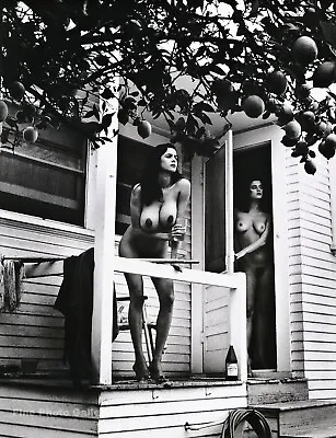 1980s Vintage HELMUT NEWTON Female Nude Porch Fashion Lemon Tree Photo Art 16X20 • $367.56