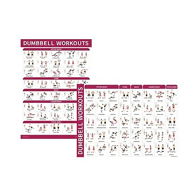Dumbbell Workout Guide Poster - 40 Positions Double Sided 18  X 27  • $9.95