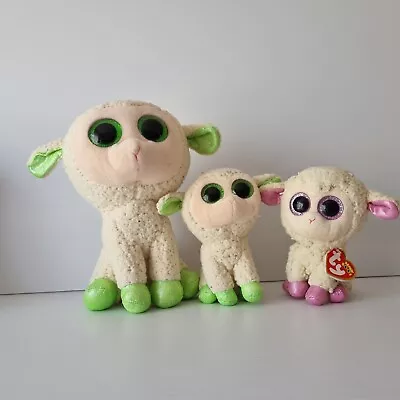 TY Beanie Boos Lavender The Lamb Plush Large And Small Green And Pink X 3 Toys • $17.50