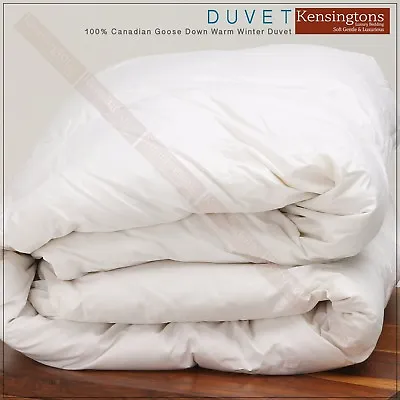 Ultimate Luxury 100% Pure Canadian Goose Down Quilt Duvet By Kensingtons® • £300