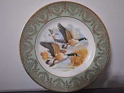 W H Grindley (Staffordshire) - 'Geese Flying' Dinner Plate 10” 25cm FREE POSTAGE • £8.50