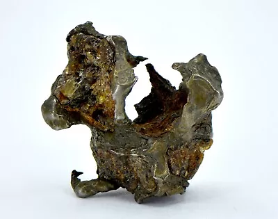 9.29g Sericho Pallasite Meteorite I Sculpted Meteorite  I TOP METEORITE • $95