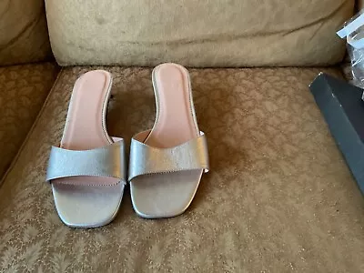 JCrew Silver Slide Kitten Heels $55 10.5 • $55