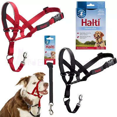 Halti Head Collar Dog Puppy Training Obedience Stop Pulling • £3.95