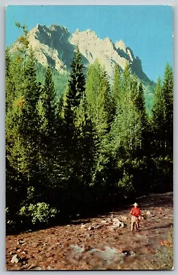 Sun Valley Idaho ID - Redfish Creek In Sawtooth Mountains - Vintage Postcard • $5.39