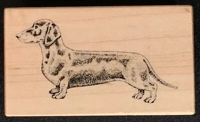 PSX E-443 Dachshund Wiener Dog Rubber Stamp • $7.99