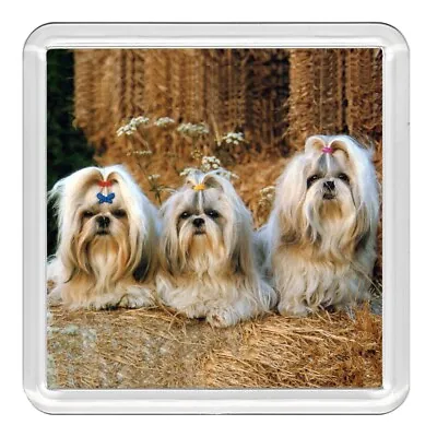 £2.99 • Buy Shih Tzu Dogs Dog Acrylic Coaster Novelty Drink Cup Mat Great Gift