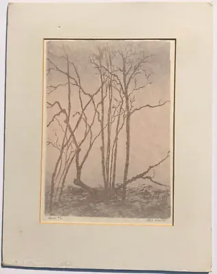  Dawn No. 2  Lithograph-Circa 1960s-Alice Frances Mason-(1895-1977) • $135