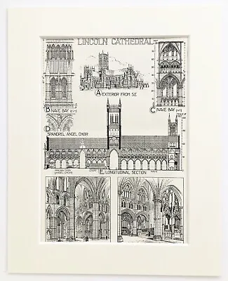 LINCOLN CATHEDRAL - ARCHITECTURE - C. 1900 Antique Mounted B&W Print • £9.99