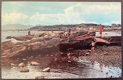 Millport Crocodile Rock 1970’s Great Cumbrae Scotland Vintage Postcard • £1.29