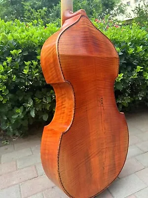 Baroque Style SONG Professional  Maestro 6 Strings 29  Viola Da Gamba #15389 • $999