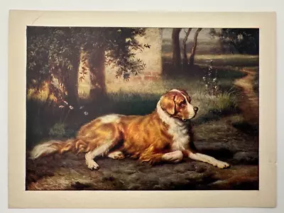 A Thoroughbred Rare Vintage R. Atkinson Fox St. Bernard Dog 4.75x6.75 Art Print • $24.99