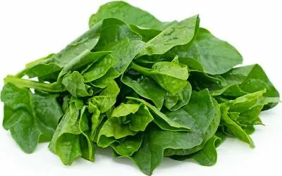 50+Green Malabar Spinach Seeds MongToi Mu Er Cai Ceylon Spinach Vine Spinach USA • $2.39