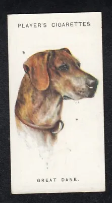 Vintage 1929 Arthur Wardle Dog Painting Card Of An GREAT DANE • $3.99