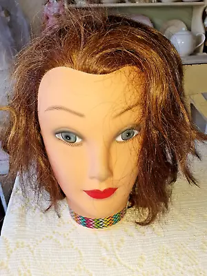 Hairart Cosmetology Training Styling Head Human Hair Mannequin  • $12