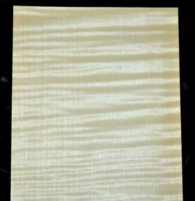 Curly Maple Wood Veneer Sheet 5 X 40 Inches 1/42nd                    4666-36 • $8.99