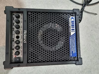 Roland Cube CM30 • $200