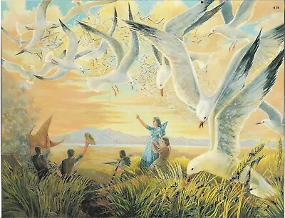 MIRACLE OF THE SEA GULLS  8 1/2 X 11 Poster • $9.99