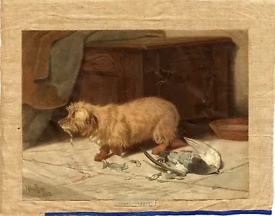 £14.95 • Buy DANDIE DINMONT TERRIER DOG ANTIQUE ART PRINT - 1886 -  The Culprit  Arthur Batt