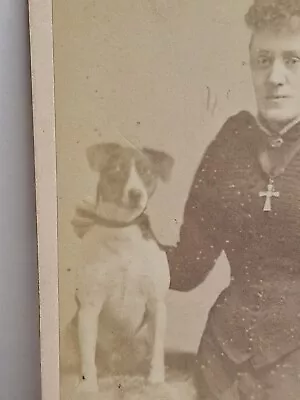 Victorian Photo CDV Lady Crucifix Dog Jack Russell ? Willway Clifton Bristol  • £38.95