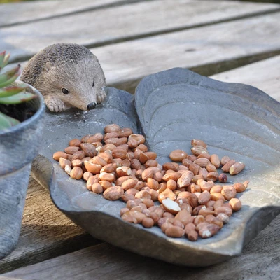 £45.58 • Buy Woodlodge Hedgehog On Leaf Bird Bath Gift Boxed