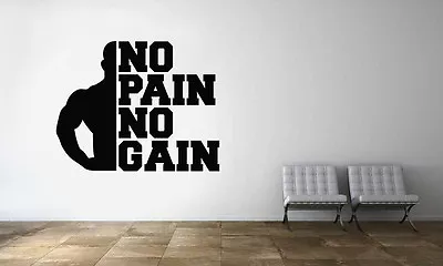 No Pain No Gain Motivational Words Wall Decal Gym Fitness Decor Vinyl Sticker • $44.95