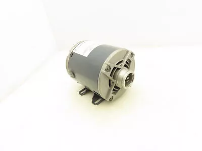 Marathon 5KH32DN5597MX Electric Pump Motor 1/4HP 115V 1725 RPM 1PH 5A 48Y • $104.99