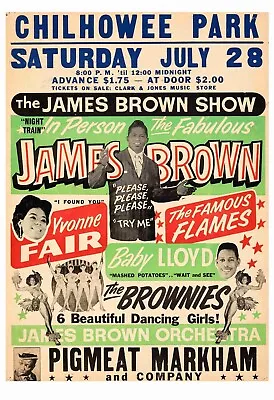 Chil Howee Park James Brown Concert Poster Or A Metal Tin Sign 12 X 18 • $14.95