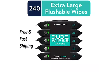 DUDE Wipes Flushable Wipes XL Wet Wipes For At Home Use Mint Chill 240 Count • $14.68