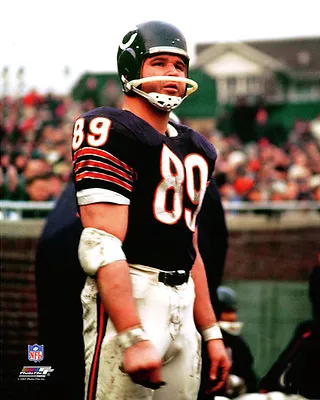 MIKE DITKA Chicago Bears C.1965 Wrigley Field Premium NFL 20x24 POSTER Print • $44.99