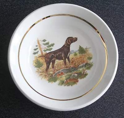 Sampson Bridgwood Lifelong Ironstone Dogs Bowl Trinket Dish - Choose One • £4.95