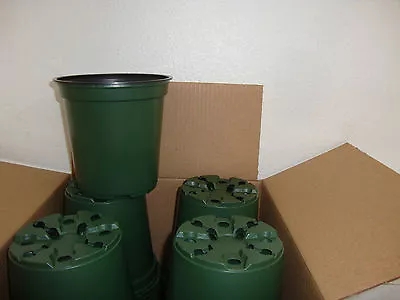 1 Gallon Trade Plastic Nursery Pots 6  X 6   5102550100250500 • $13