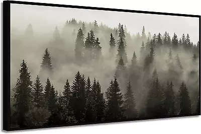 Forest Picture Wall Art Framed: Foggy Landscape Photographic Printed On Canvas W • $144.11