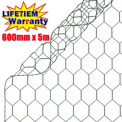 Green PVC Coated Wire Netting Chicken Rabbit Poultry Pet Pens Runs Cages Fencing • £7.70