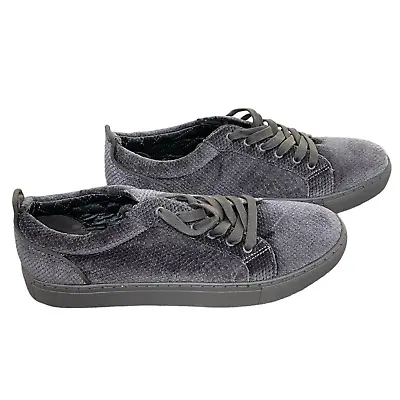 STEVE MADDEN Men's Yali Velvet Low-Top Sneaker Gray 10.5 • $45