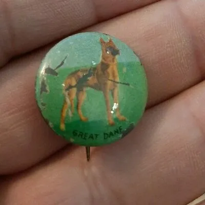 Vintage GREAT DANE Pinback Dog Animal Dedicated Mans Best Friend • $7.99
