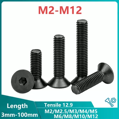 £1.66 • Buy M2-M12 Countersunk Bolts Allen Socket Screws High Tensile 12.9 Black M4 M5 M6 M8